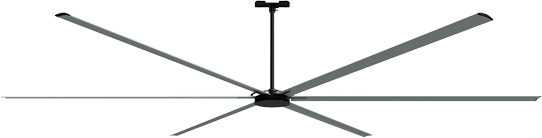 大型シーリングファン写真