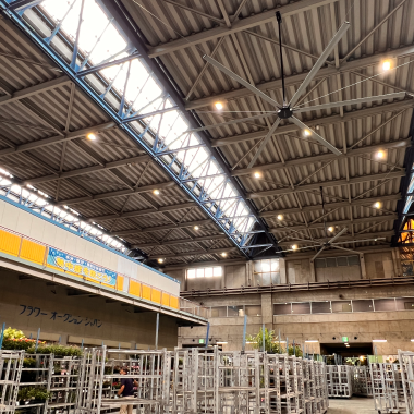 東京都中央卸売市場 大田市場 花き部